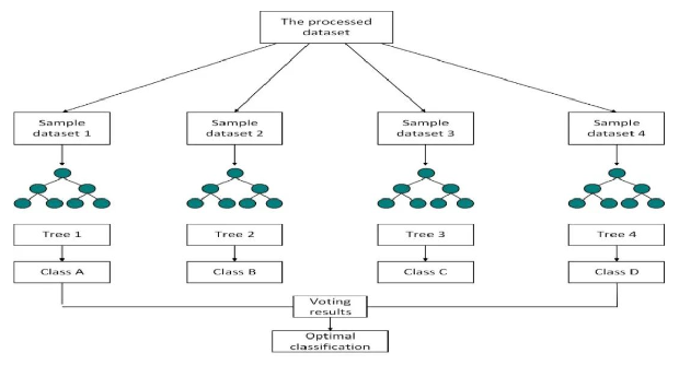 image-20250313113059030